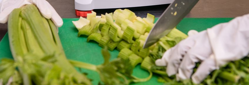 Food Scales